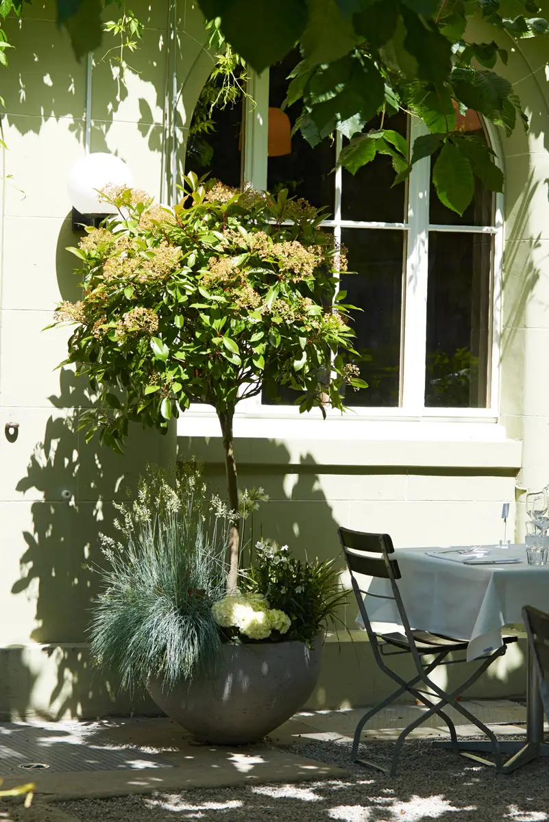 Innenraum der Brasserie Obstberg