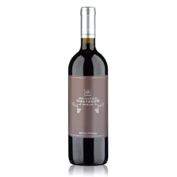 Merlot Obstberg «Biasca Premium» 2022